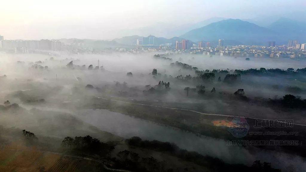 在悬崖之上中，楚良知道左轮手枪被人动了手脚吗?游戏画面