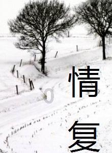 精灵的故事