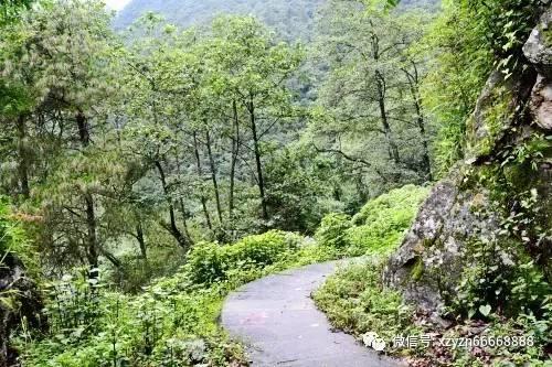 四年驻村路越走越亮堂