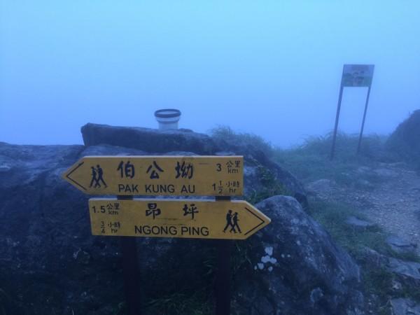 各位好心人呀 在下微信急需6元钱 看看谁愿意给我游戏画面