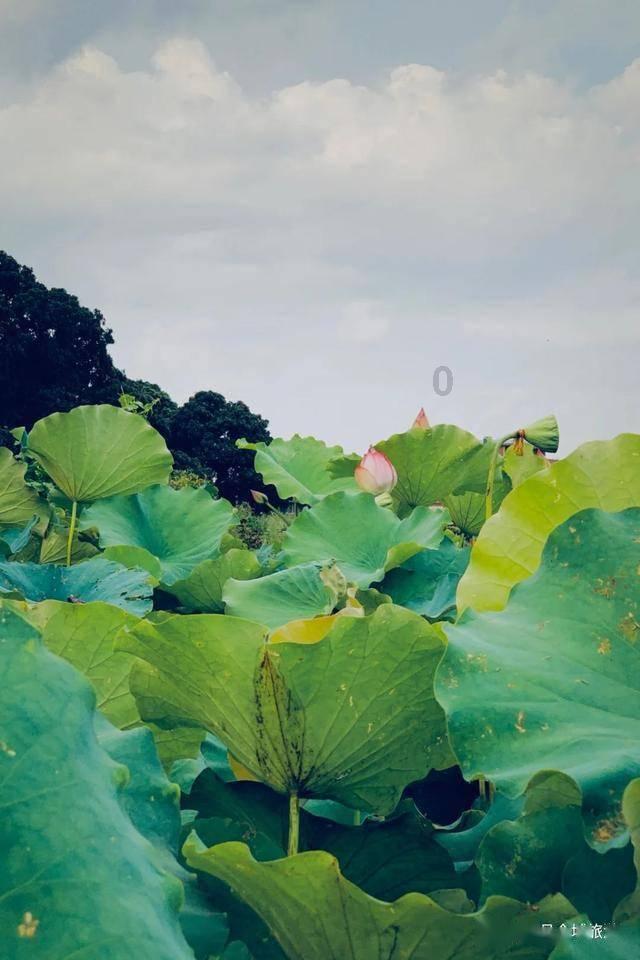 数数救伙伴