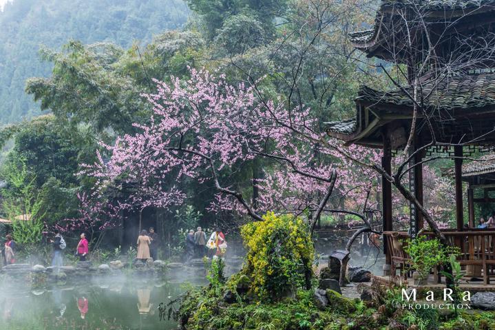尼弗卡拉遗址