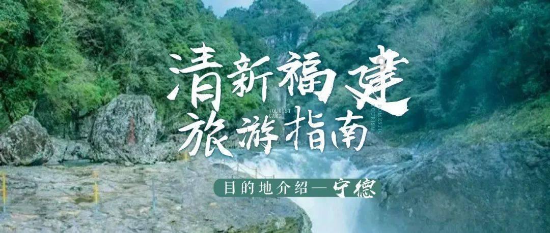 虫虫助手下载