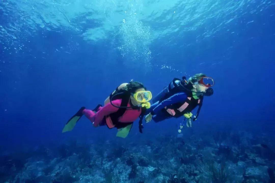 再现20世纪海派风情