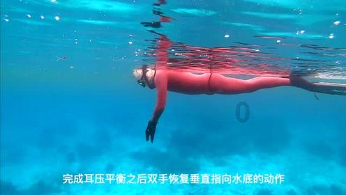 拯救精灵的土地6