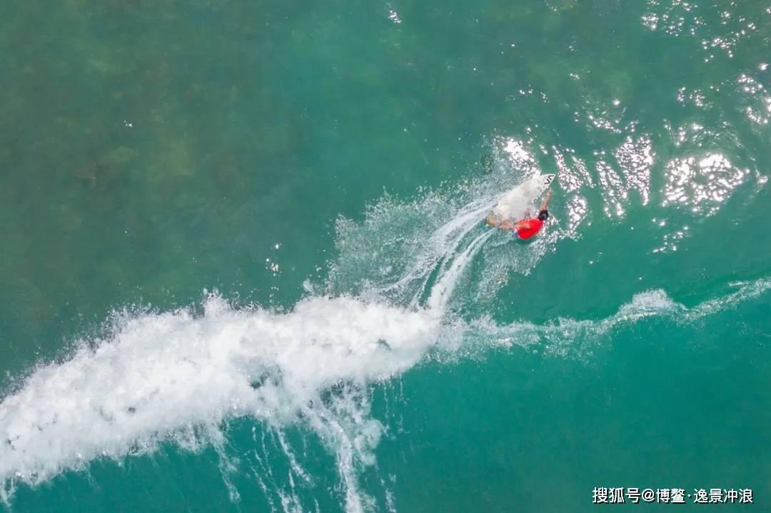遛狗不牵绳可以报警吗?
