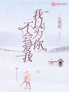 公务机包机:享受奢华舒适之旅的必备攻略
