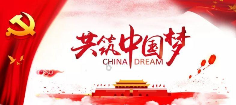 救援白色小猫