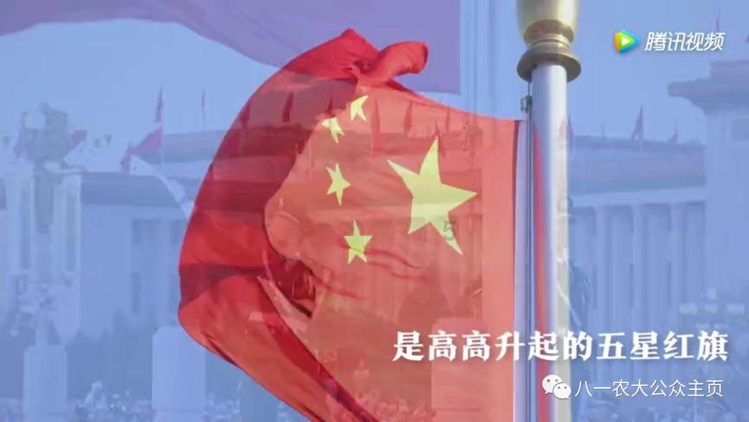 探索糖果泡泡店下载红迪网,发现你的兴趣世界