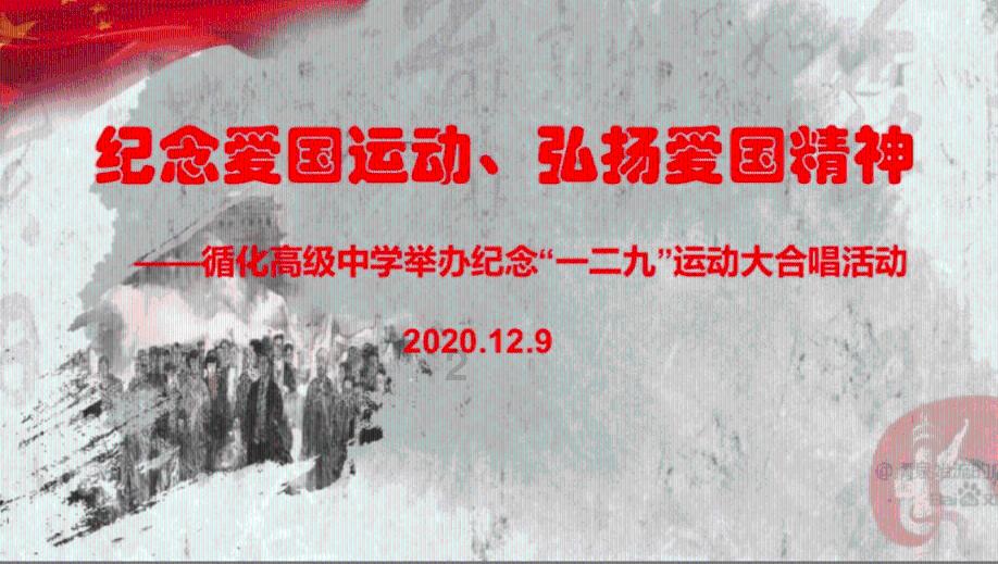 苏菲亚安伯时装秀