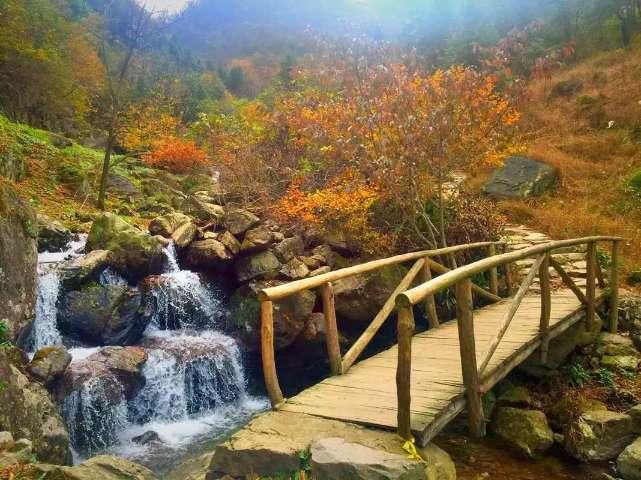 一起捕鱼吧