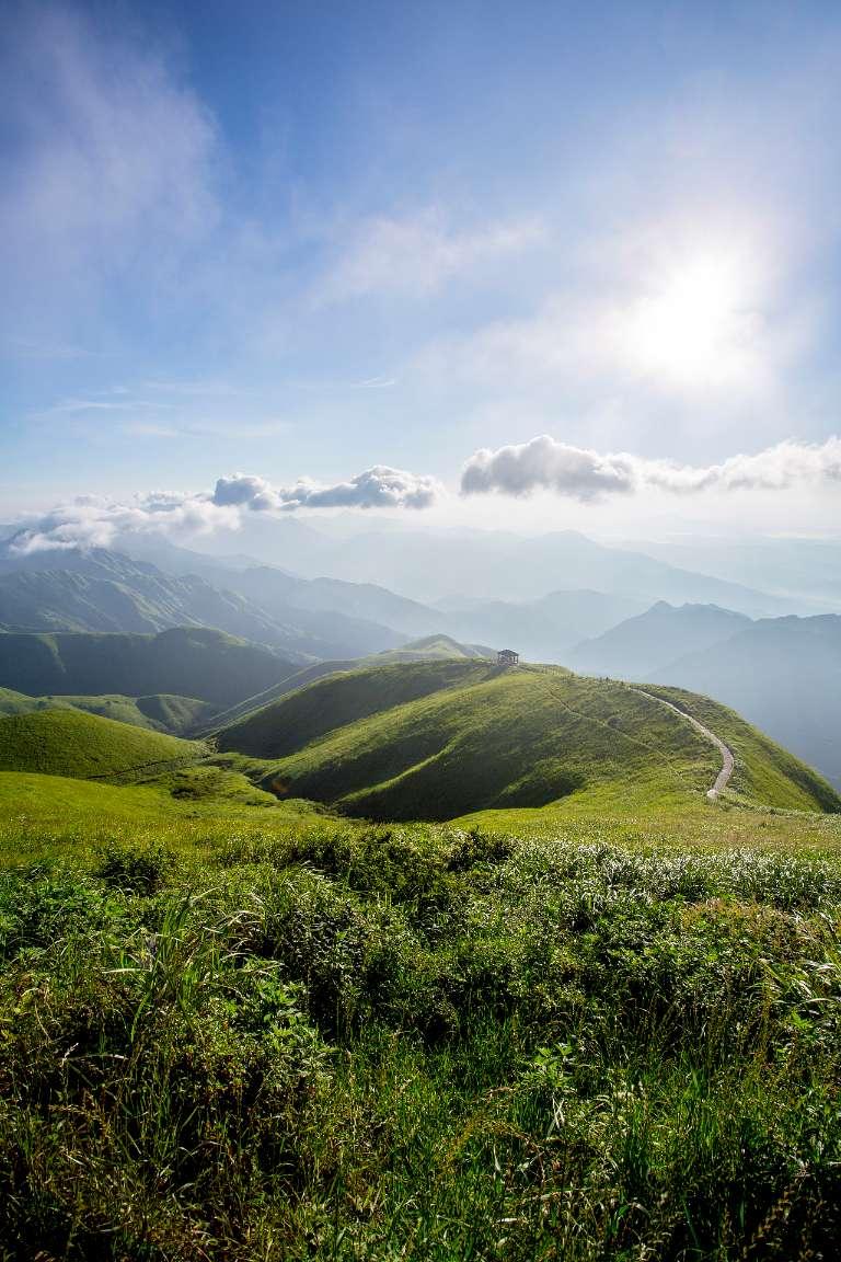 逃出猫头鹰岛