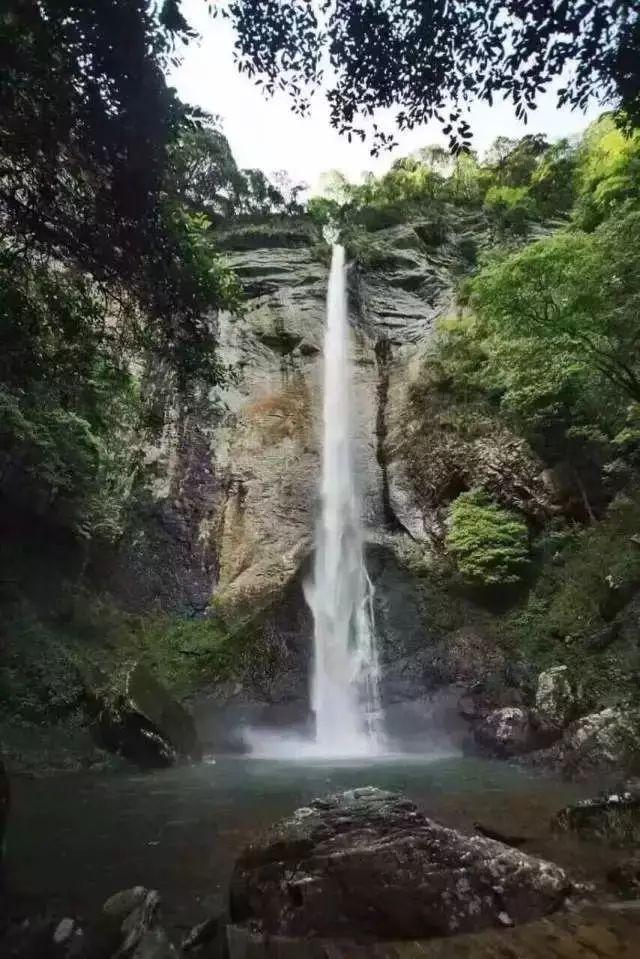 一场“艳遇”，钱色双收，还是人财两空？