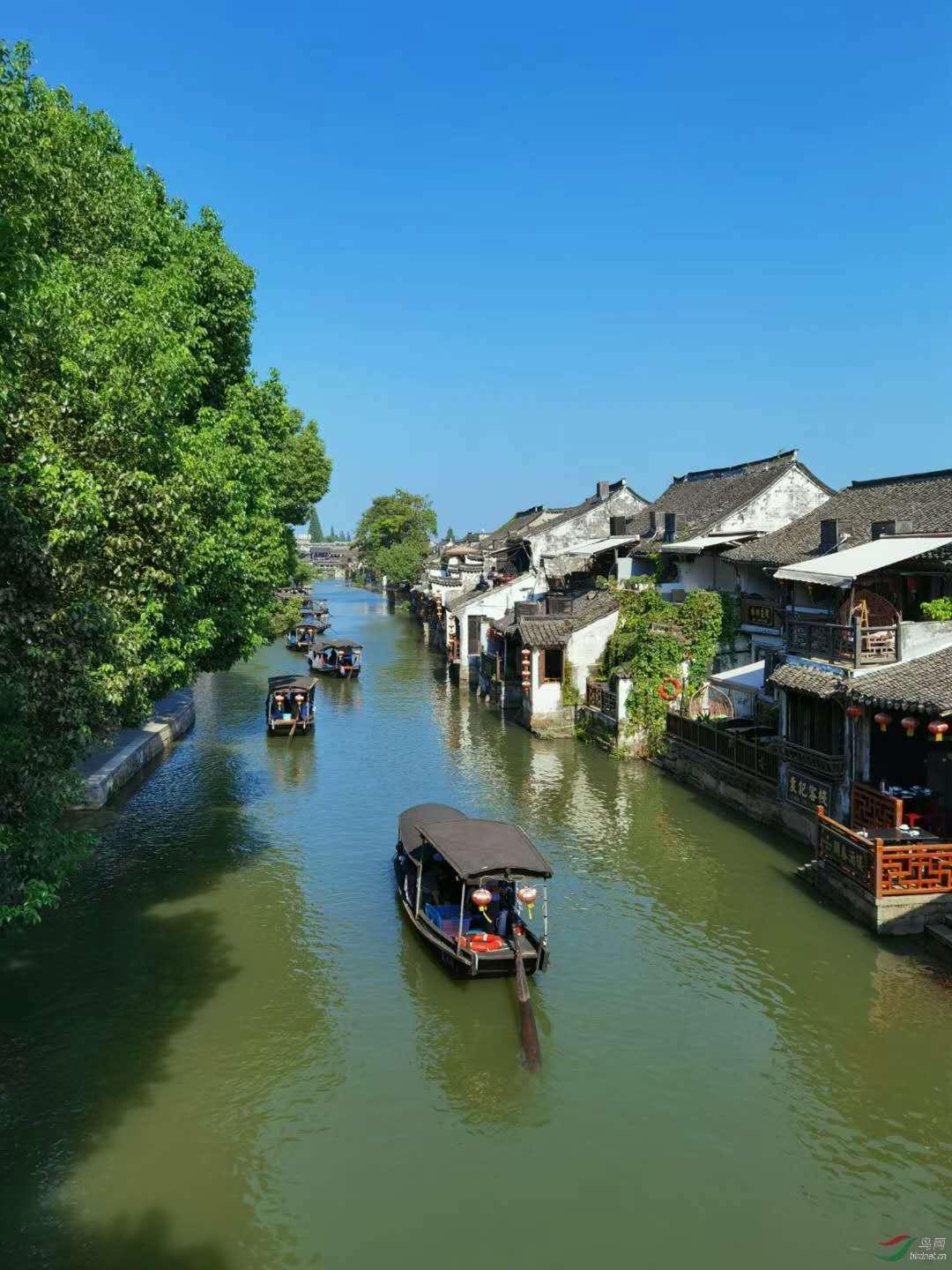 《资治通鉴》武帝卷34-敢于冲撞上级的人，未必就是能力强！