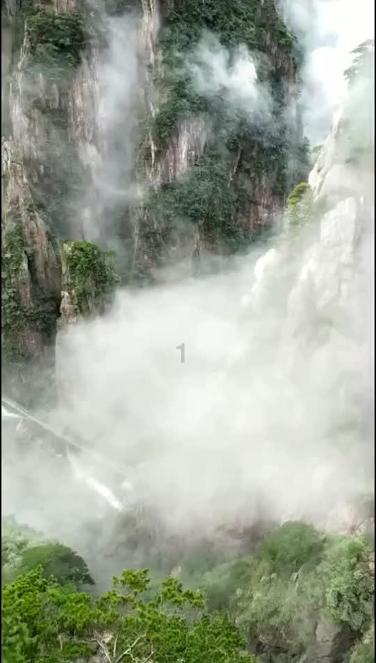 56岁好莱坞女星妮可基德曼,寒风中大秀露背裙,无视服装争议